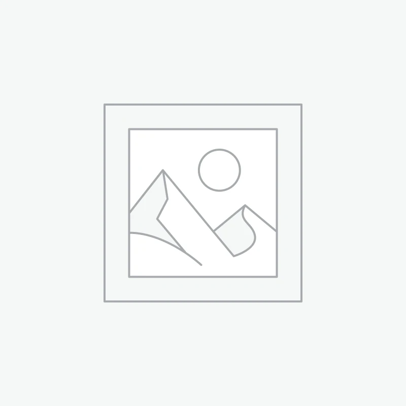 Pressure Guage