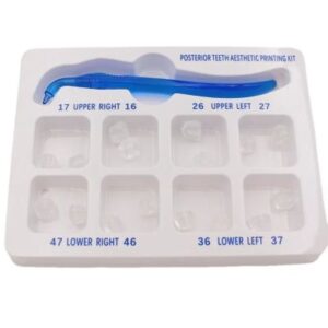 posterior Teeth Anesthetic Printing Kit