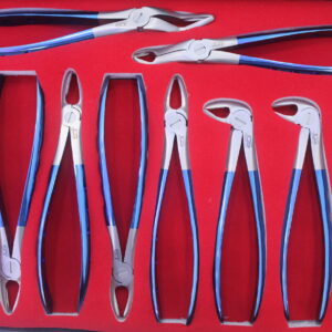 Extraction Forcep Set